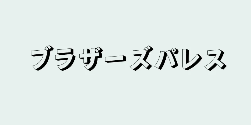 ブラザーズパレス