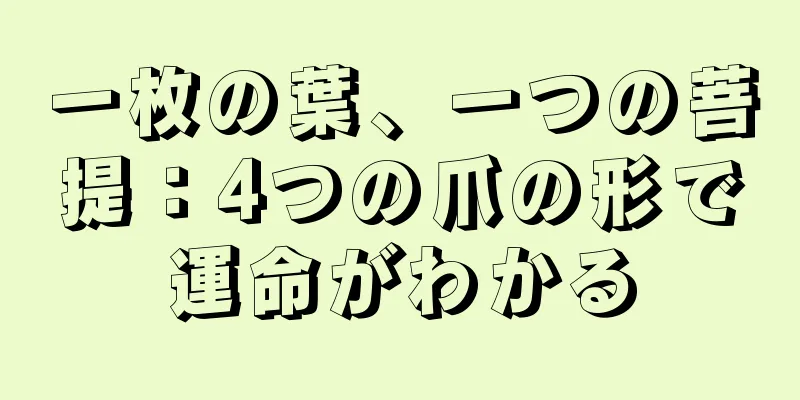 一枚の葉、一つの菩提：4つの爪の形で運命がわかる