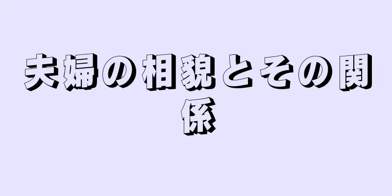 夫婦の相貌とその関係