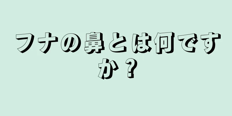 フナの鼻とは何ですか？