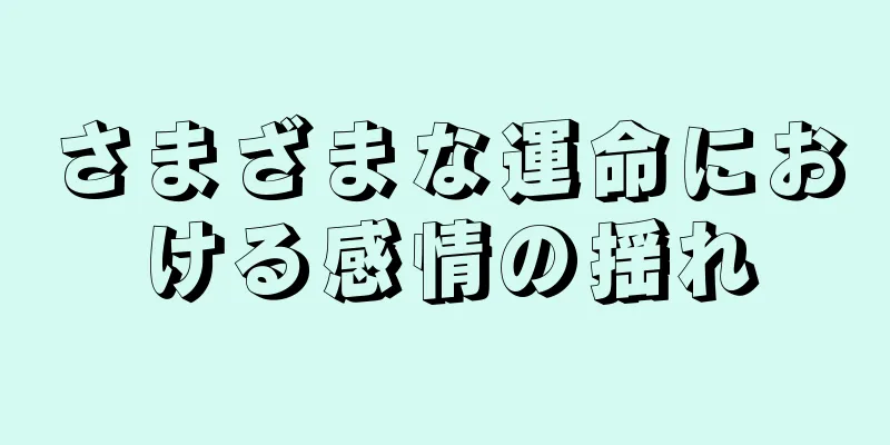 さまざまな運命における感情の揺れ