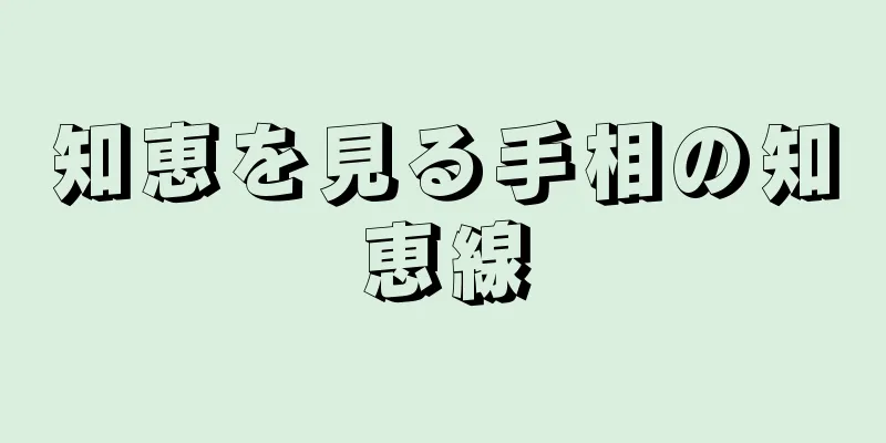 知恵を見る手相の知恵線