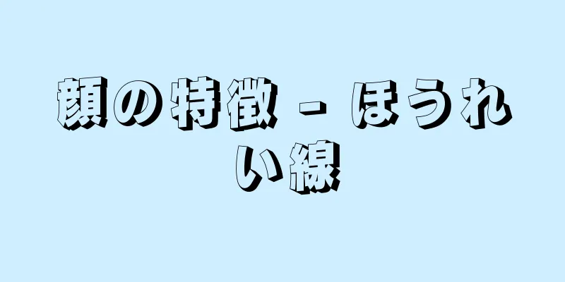 顔の特徴 - ほうれい線