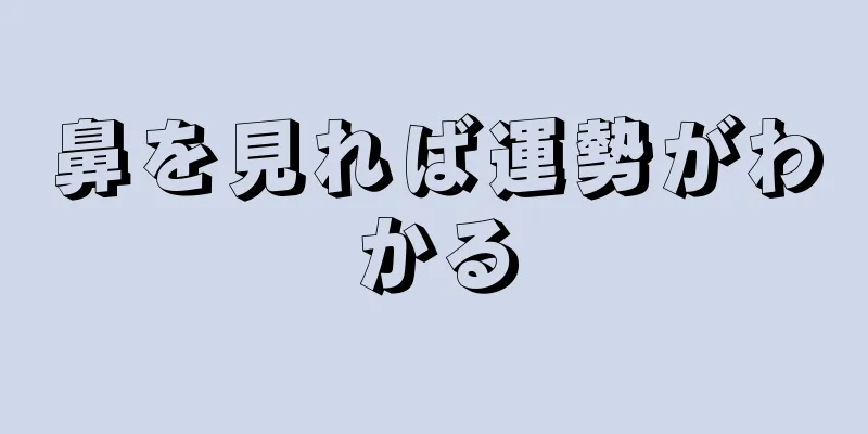 鼻を見れば運勢がわかる