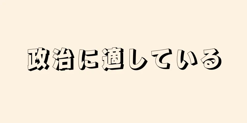 政治に適している