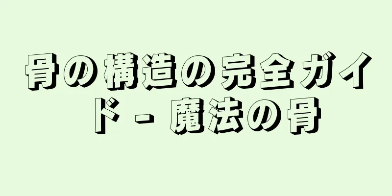 骨の構造の完全ガイド - 魔法の骨