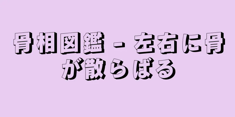 骨相図鑑 - 左右に骨が散らばる