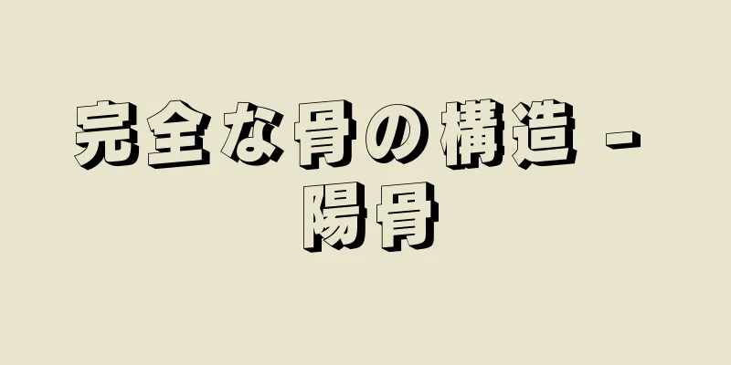 完全な骨の構造 - 陽骨