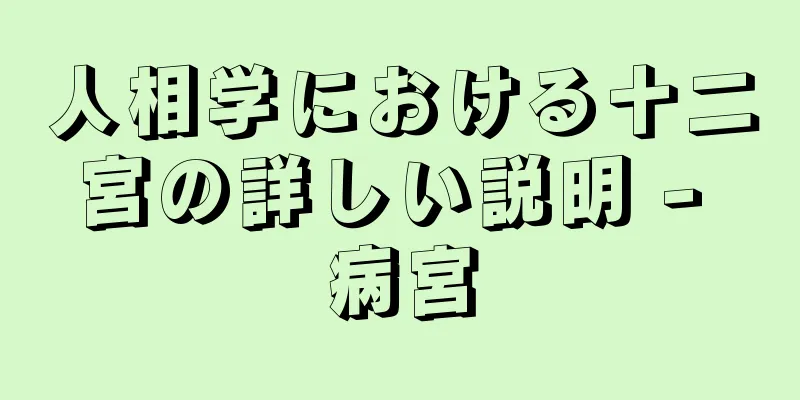 人相学における十二宮の詳しい説明 - 病宮