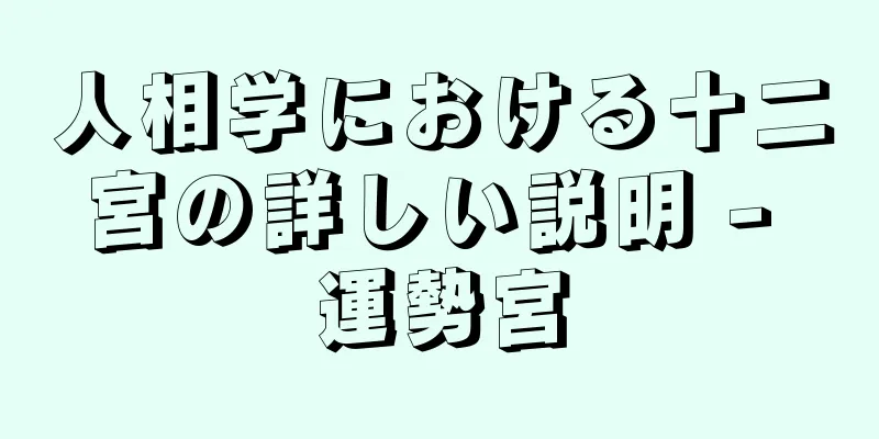 人相学における十二宮の詳しい説明 - 運勢宮