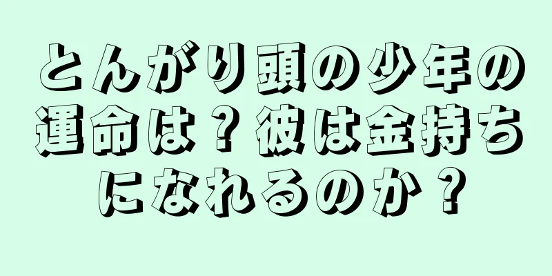 とんがり頭の少年の運命は？彼は金持ちになれるのか？