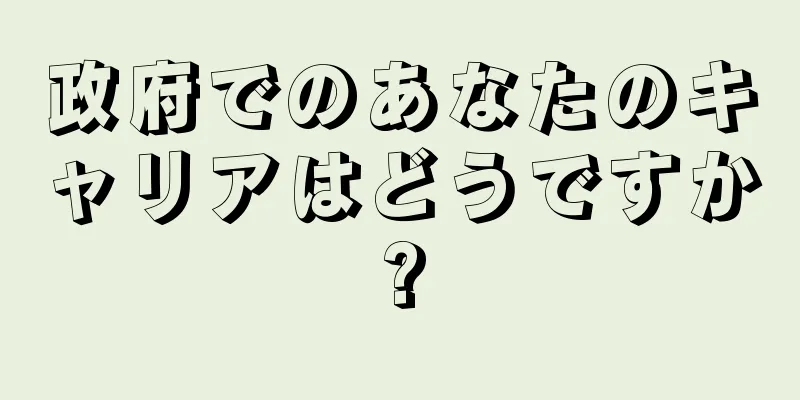 政府でのあなたのキャリアはどうですか?