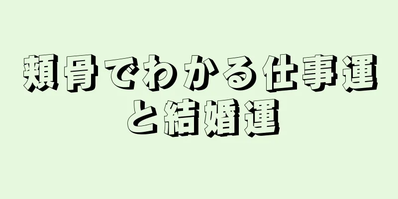 頬骨でわかる仕事運と結婚運