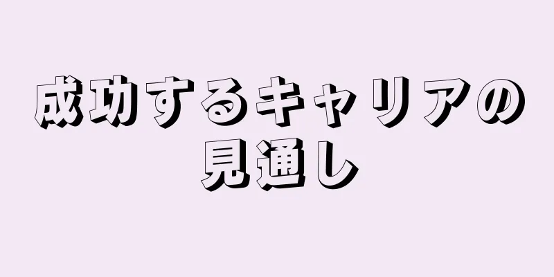 成功するキャリアの見通し