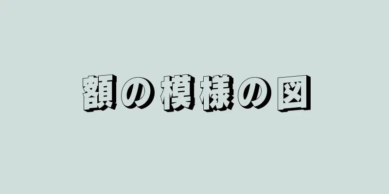 額の模様の図