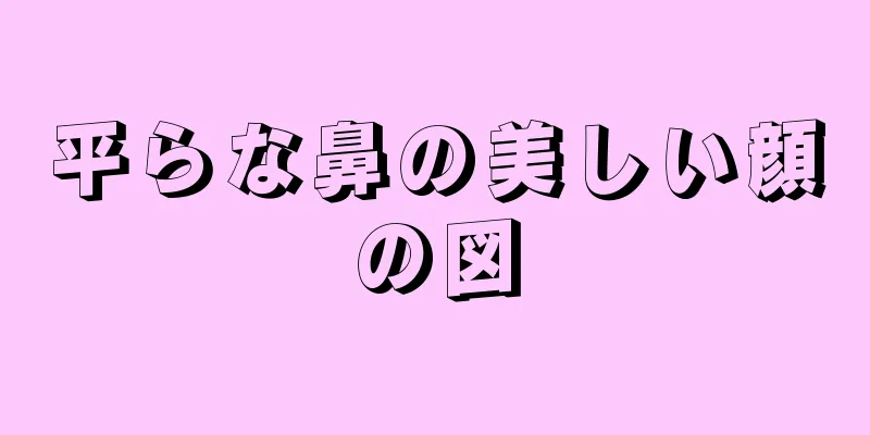 平らな鼻の美しい顔の図