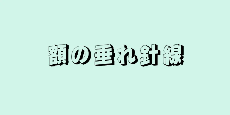 額の垂れ針線