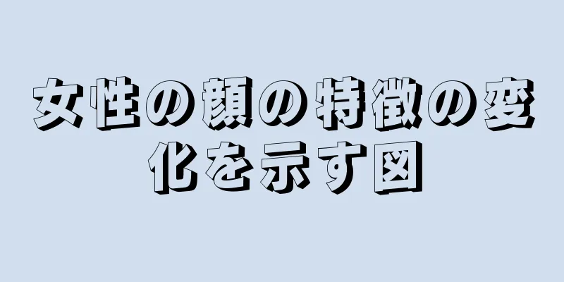 女性の顔の特徴の変化を示す図