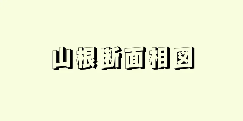 山根断面相図