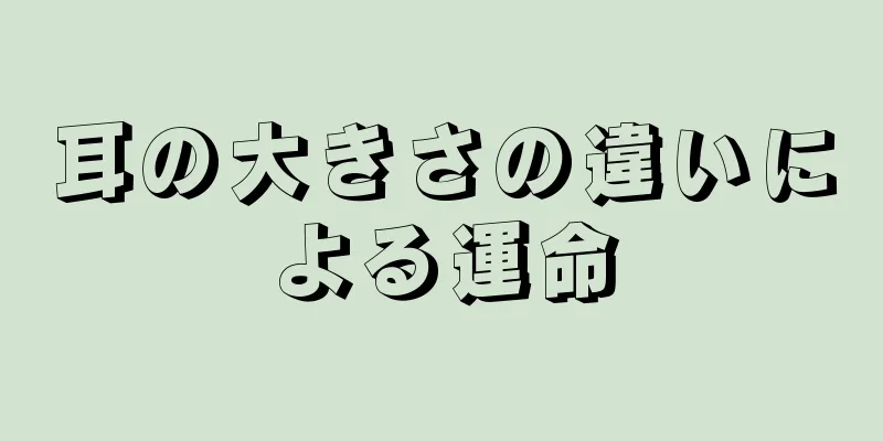 耳の大きさの違いによる運命