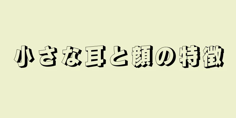 小さな耳と顔の特徴