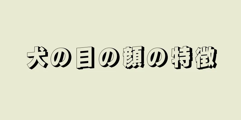 犬の目の顔の特徴