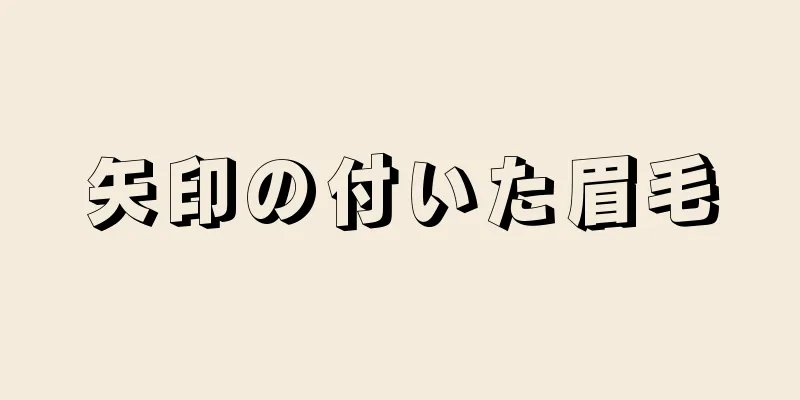 矢印の付いた眉毛