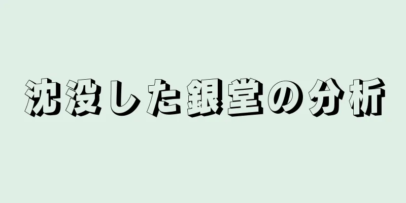 沈没した銀堂の分析