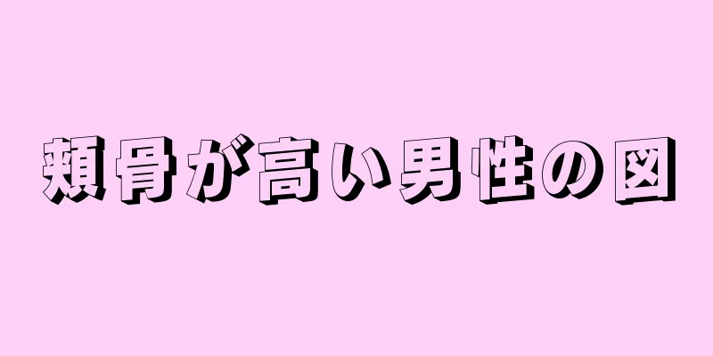 頬骨が高い男性の図