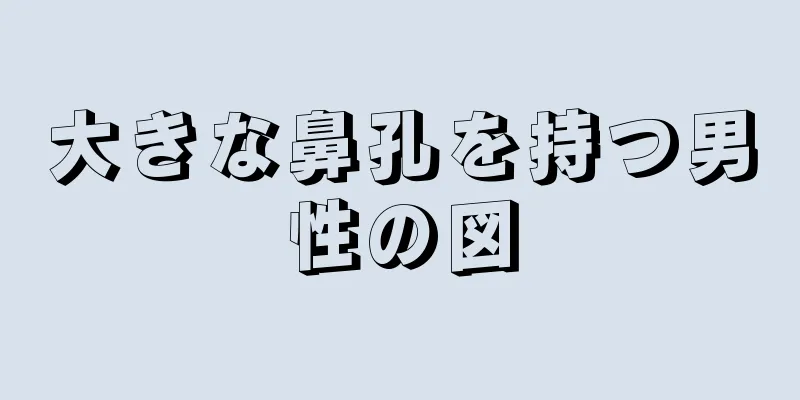 大きな鼻孔を持つ男性の図