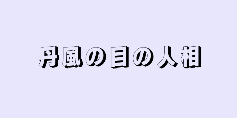 丹風の目の人相