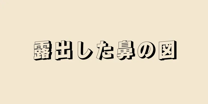 露出した鼻の図