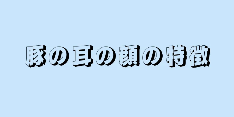 豚の耳の顔の特徴