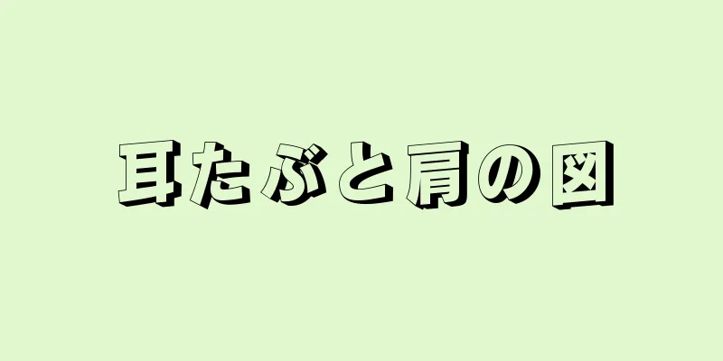 耳たぶと肩の図