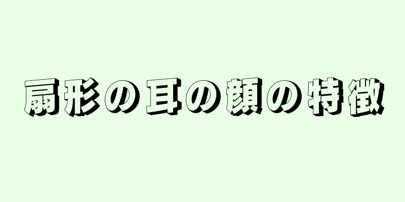 扇形の耳の顔の特徴