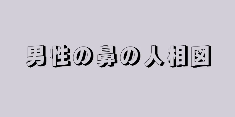 男性の鼻の人相図