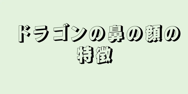 ドラゴンの鼻の顔の特徴