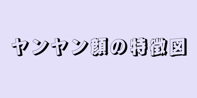 ヤンヤン顔の特徴図