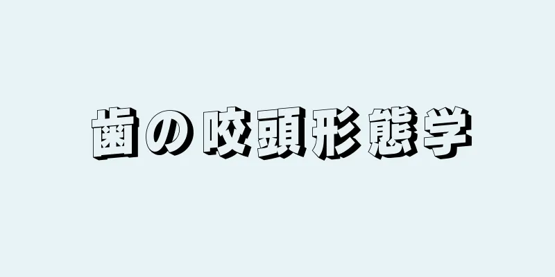 歯の咬頭形態学