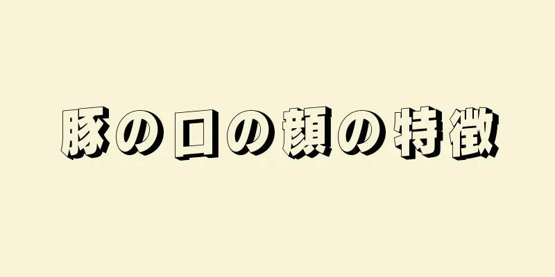 豚の口の顔の特徴