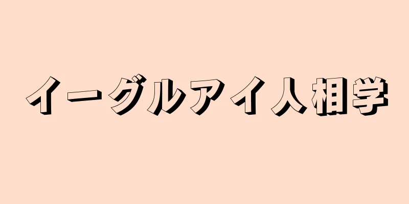 イーグルアイ人相学