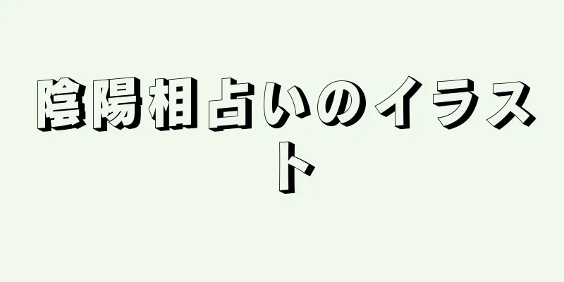 陰陽相占いのイラスト