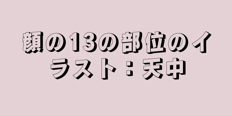 顔の13の部位のイラスト：天中