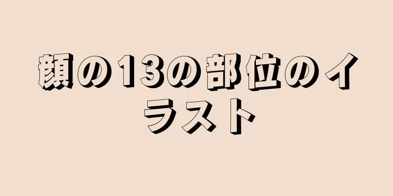 顔の13の部位のイラスト