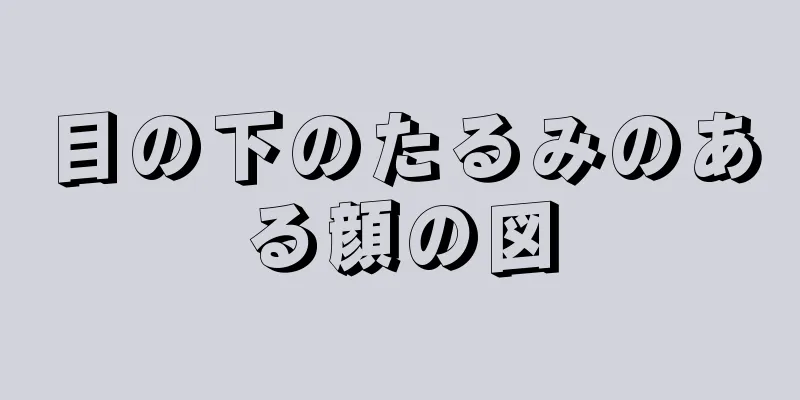 目の下のたるみのある顔の図