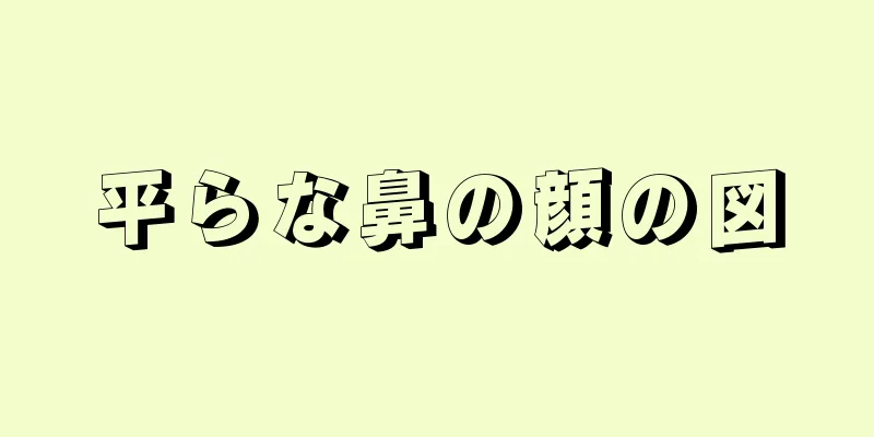 平らな鼻の顔の図