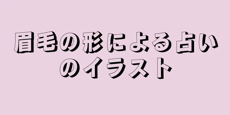 眉毛の形による占いのイラスト