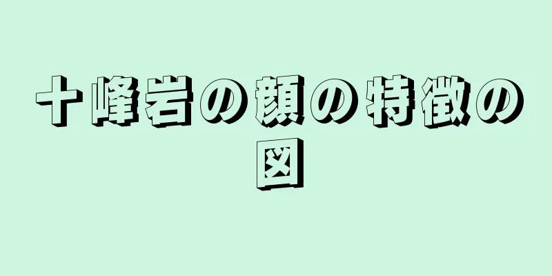 十峰岩の顔の特徴の図