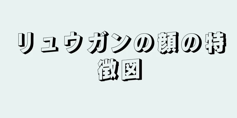 リュウガンの顔の特徴図