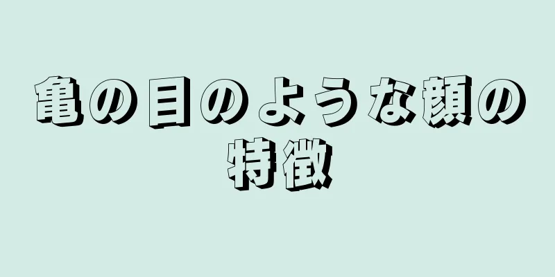 亀の目のような顔の特徴